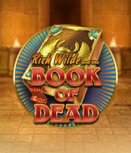 Embark on the thrilling world of Book of Dead by Play'n GO, featuring vivid graphics of Rich Wilde’s adventurous journey through ancient Egyptian tombs and artifacts. Discover lost riches with engaging mechanics like free spins, expanding symbols, and a gamble option. Ideal for those seeking adventure with a desire for unearthing secrets.